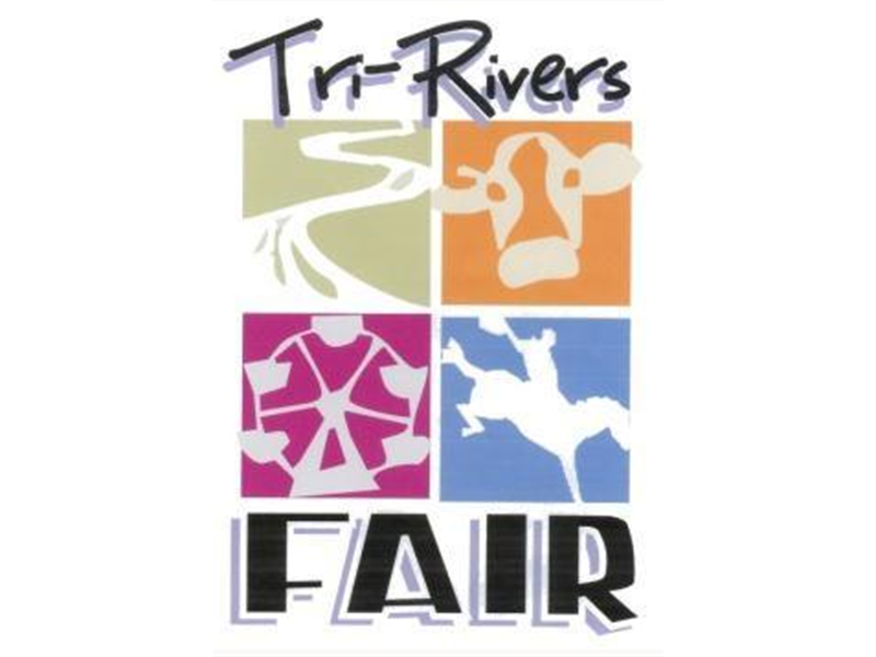 Fair Logo