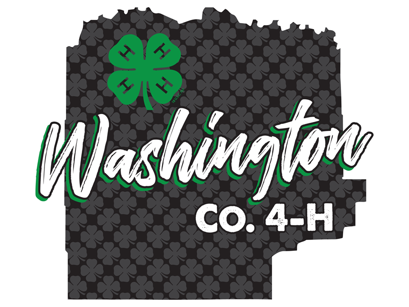 Logo for 2024 Washington County Fair