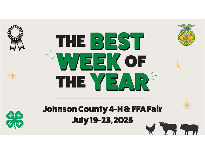 Fair Logo