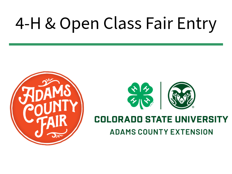 Logo for 2026 Adams County Fair